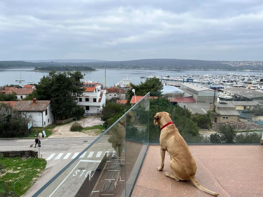 Panorama Penthouse Пунат Екстериор снимка